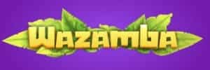 Crash online